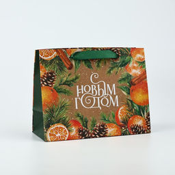 Цена за 2 шт. Пакет подарочный новогодний крафтовый «С Новым годом», MS 18×23×10 см