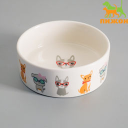 Миска керамическая Важный пес 250 мл - 11.511.55 см, белая - Пижон фото 2