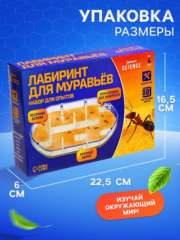 Набор для опытов Лабиринт для муравьёв - Эврики фото 14