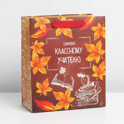 Пакет ламинированный вертикальный Учитель года, ML 27 23 11,5 см