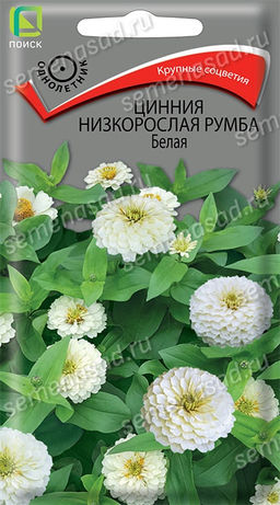 Цинния низкорослая Румба Белая (ЦВ) ("1) 0,1гр
