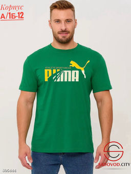 Футболка для мужчин, хлопок - Bruno фото 8