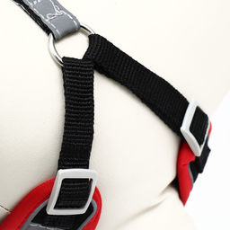 Комплект Sport+, S, поводок 120 x1 ,5 см, ОШ 39-41 см, ОГ 44-48 см, вес животного 7-13 кг, чёрный 9 - Пижон фото 7