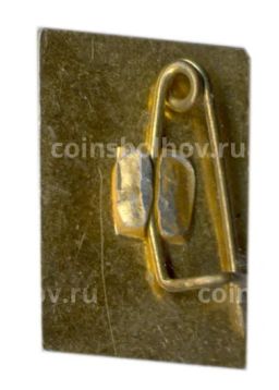 Значок Хоста