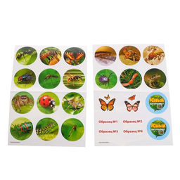 Набор для исследований Юный натуралист - Эврики фото 4