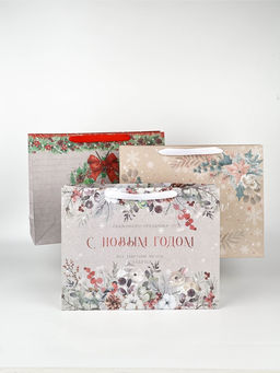 Набор новогодних пакетов «Спешу поздравить»