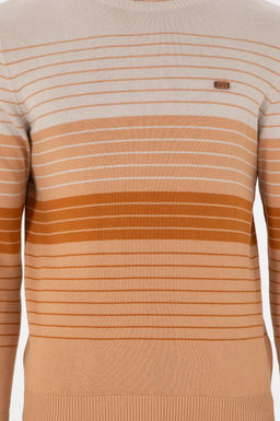 Мужской светло-коричневый свитер Неожиданная скидка в корзине - U.s. polo assn фото 6