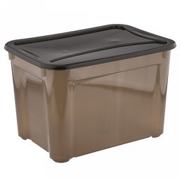 Контейнер для хранения пластмассовый 20л, 38,5х27х25,5см, универсальный, с крышкой, полипропилен, прозрачный (Россия)