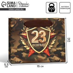 Цена за 2 шт. Пакет подарочный ламинированный, упаковка, «С 23 февраля», S 15×12×5.5 см