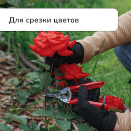 Ножницы садовые, 7 (18 см), с металлическими ручками, обрезиненная ручка, красные, Greengo фото 9