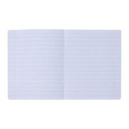 Комплект тетрадей из 10 штук 12 листов в частую косую линию Однотонная Новая Школьная, обложка мелованная бумага, ВД-лак, блок офсет - Calligrata фото 2