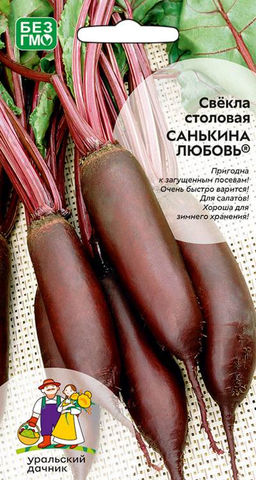Свёкла САНЬКИНА ЛЮБОВЬ  Пригодна к загущенным посевам! Очень быстро варится! Для салатов! Хороша для зимнего хранения!