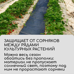 Цена за 2 шт. Полоса защитная для междурядий, 5×0.3, плотность 80 г/м², спанбонд с УФ-стабилизатором, чёрная, Greengo, Эконом 30%