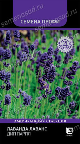 Лаванда Лаванс Дип Парпл (Семена Профи) (ЦВ) ("М) 10 шт
