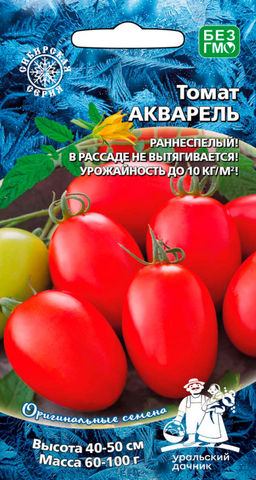 Томат АКВАРЕЛЬ Сибирская селекция! В рассаде не вытягивается! Урожай до 10 кг/кв.м!