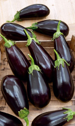 Баклажан МУЛАТКА Фантастическая скороспелость! Неприхотлив в уходе! Компактный! Нежный, без горечи!