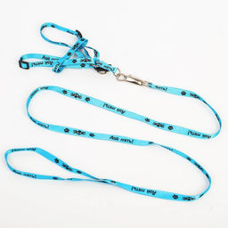 Комплект Дай пять, шлейка 26-39 см, поводок 120х1 см - Пушистое счастье фото 3