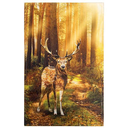 Полотенце Этель Лес, 4067 см, хлопок 100 %, саржа, 190 г/м фото 2