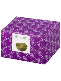 Салатник 650 мл 17*15*9,5 см Медвежонок фарфор, зеленый - Elan gallery фото 6