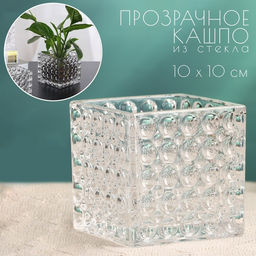 Декоративное кашпо для цветов «Куб», 12×12×12 см, стеклянное, Greengo