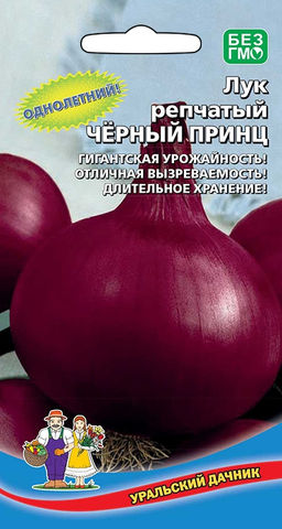 Лук репчатый ЧЁРНЫЙ ПРИНЦ  Однолетний с гигантской урожайностью! Отличная вызреваемость! Длительное хранение!