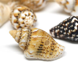 Ракушки природные "Триция сетчатая" 6*10мм, 10г Радуга камня