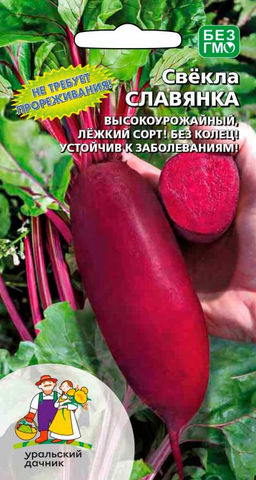 Свёкла СЛАВЯНКА
