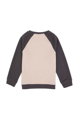 Erkek _ocuk Gri Bisiklet Yaka Sweatshirt - U.s. polo assn фото 2