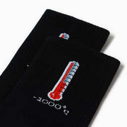 Носки мужские KAFTAN «Енот», размер 41-44 (27-29 см)