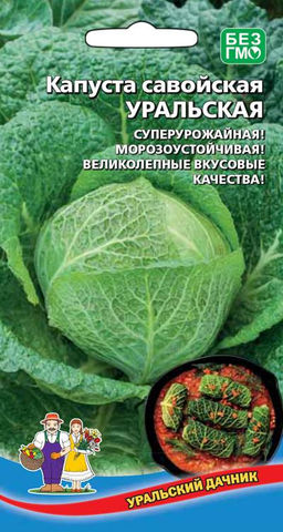 Капуста савойская УРАЛОЧКА  Морозоустойчивая! Супер урожай! Великолепные вкусовые качества! А какая начинка для пирогов, ммм...!