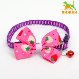 Ошейник Клубника, 30 х 1 см, капрон, розовый