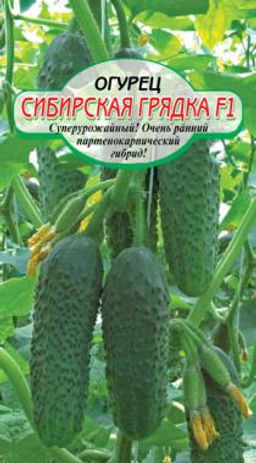 Сибирская грядка F1 огурец 7шт парт (ссс)