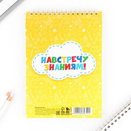 Цена за 3 шт. Блокнот А5, 40 л., на гребне «Выпускник удачи!»