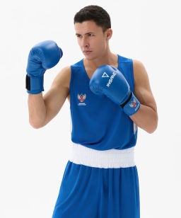 Перчатки боксерские INSANE RBF IN25-BG600, синий, 10 oz