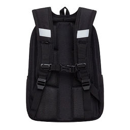 RAw-695-6 Рюкзак школьный с картхолдером на держателе - Grizzly фото 4