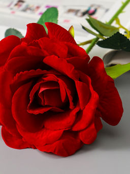 Цветы искусственные «Роза Аманда», бархат, d=11 см, h=58 см, красные