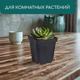Цена за 10 шт. Горшок для рассады, 700 мл, 10×10×12.5 см, пластик, чёрный, Greengo