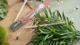 ВКФ Карандаш со смешными фразами SUV-032 Карандаш графитный заточенный ТМ (HB) 4 шт. все гениальное просто