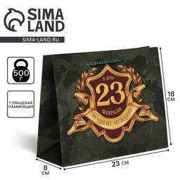 Пакет ламинированный горизонтальный С 23 февраля, MS 23 18 8 см - Доступные радости фото 5