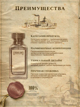 Dilis Парфюмерная вода для мужчин GROWLAND Mystic Stone 100 мл