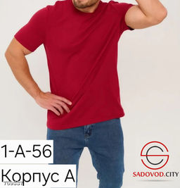 Однотонная футболка мужская - Bruno фото 5