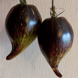 7028T Томат Изумрудная Парча 10шт