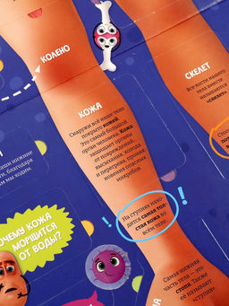 Книга с окошками «Как устроен человек?»