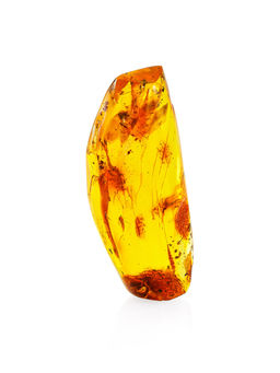 Кусочек натурального балтийского янтаря золотисто-лимонного цвета с включениями насекомых