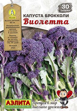 Капуста брокколи Виолетта (2025)