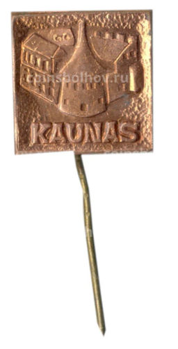 Значок Каунас