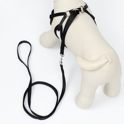 Комплект с мягкой шлейкой и бантиком Морской, размер S, поводок 120 x 1,5 см, ОГ 23-42 см 968377 - Пижон фото 3