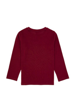 Erkek _ocuk Bordo Bisiklet Yaka Sweatshirt - U.s. polo assn фото 2