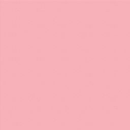 VISTA-ARTISTA Бумага цветная MFO-AA 300 г/м2 50 х 70 см 25 шт. 13 светло-розовый/light pink