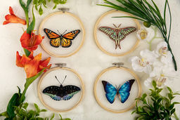 Набор для вышивания PANNA Живая картина JK-2234 Бабочка. Монарх 13 х 13 см